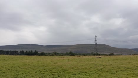 Schafe-Weiden-Gras-Auf-Einem-Feld-Mit-Strommasten-Und-Dramatischer-Berglandschaft-Im-Hintergrund-In-Brecon-Beacons-Wales-UK-4k