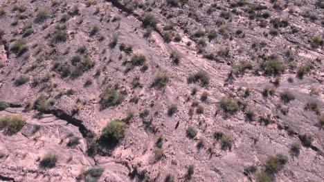 Flying-Over-Purmamarca-Wild-Rocks,-Full-Of-Green-Herbs,-North-Argentina