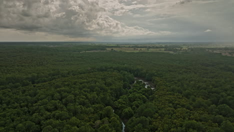 Pedregal-Panama-Aerial-v3-natural-landscape-view,-drone-flyover-pristine-mangrove-forest-with-dense-lush-green-vegetation-and-tropical-stormy-clouds-in-the-sky---Shot-with-Mavic-3-Cine---April-2022
