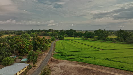 Guarumal-Panama-Aerial-v2-cinematic-landscape-flyover-rural-area-capturing-narrow-country-road-with-sparse-little-shacks-and-farmhouse-next-to-cultivated-farmland---Shot-with-Mavic-3-Cine---April-2022