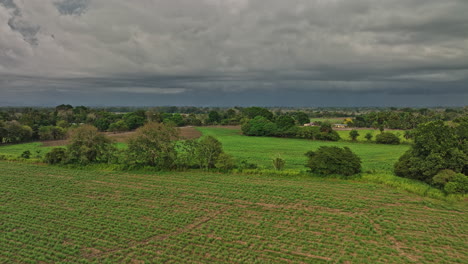 Guarumal-Panama-Aerial-v1-low-level-flyover-acres-of-farmland-towards-the-endless-skyline-capturing-beautiful-fertile-plain-in-rural-area-with-stormy-sky-view---Shot-with-Mavic-3-Cine---April-2022