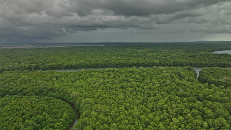 Pedregal-Panama-Aerial-v4-low-altitude-flyover-and-around-platanal-river-capturing-beautiful-lush-green-mangrove-forest-with-dense-vegetations-on-a-stormy-day---Shot-with-Mavic-3-Cine---April-2022
