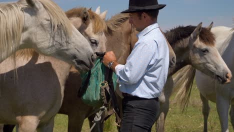 Cowboy,-Der-Seine-Herde-Schöner-Pferde-In-Südfrankreich-Füttert
