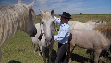 Cowboy-Mann,-Der-Dem-Pferd-Zur-Vorbereitung-Eine-Fohlenband-Anlegt
