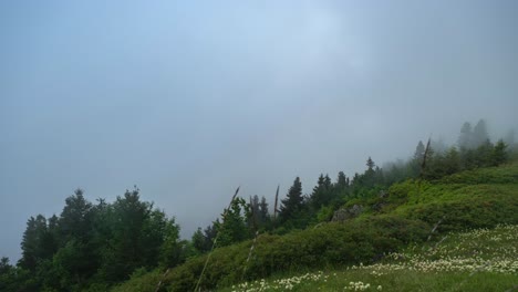 Wolkenbewegungen-über-Bergwald-2
