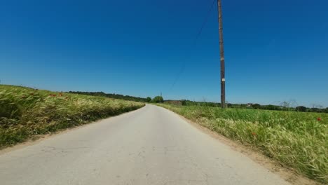 POV-shot-from-the-handlebars-of-a-road-cyclist-cycling-along-a-flat-country-road-surrounded-by-lush-green-farmlands-on-a-beautiful-sunny-day,-Catalunya,-Spain
