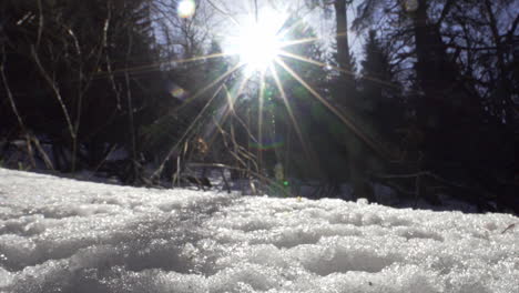 Aufnahmen-Eines-Wunderschönen,-Verschneiten-Pinienwaldes-In-Den-Bergen-Im-Winter-1