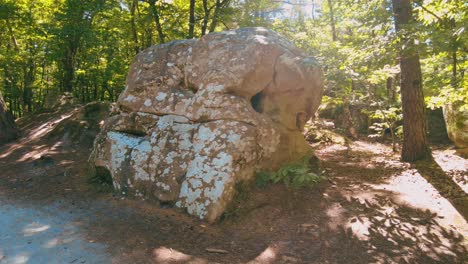 Gran-Roca-Cubierta-De-Musgo-Con-Agujeros-En-El-Bosque-Fontainebleau-Francia