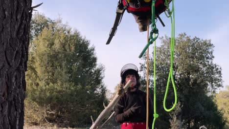 Woman-teacher-training-pupil-hanging-with-safety-harness-from-a-tree,-with-lots-of-ropes-and-climbing-material-while-learning-height-pruning-and-tied-knot