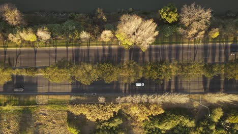 Top-down-aerial-view-of-boulevard-during-sunset
