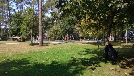 Parents-and-children-playing-in-the-public-park-with-its-gardens-and-trees-on-a-sunny-summer-morning