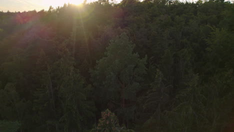 Helle-Sonne,-Die-Bei-Sonnenaufgang-über-Dem-Naturschutzgebiet-Weichsel-Scheint