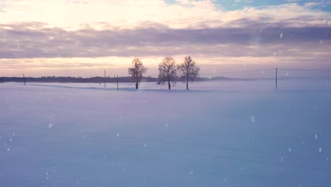 Tree-silhouette-in-rural-landscape-during-deep-cold-freezing-winter-snowfall