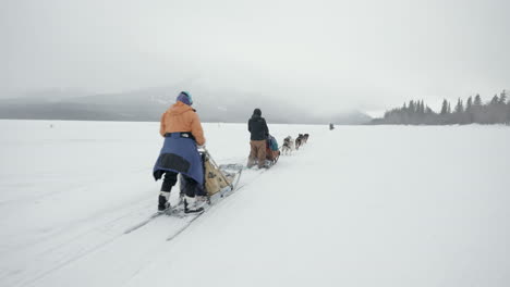 Dog-sledding-in-the-winter-on-a-lake