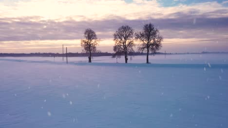 Schneefall-über-Dem-Landwirtschaftlichen-Feld,-Das-Bei-Sonnenuntergang-Oder-Sonnenaufgang-Mit-Reinem-Weißem-Schnee-Bedeckt-Ist