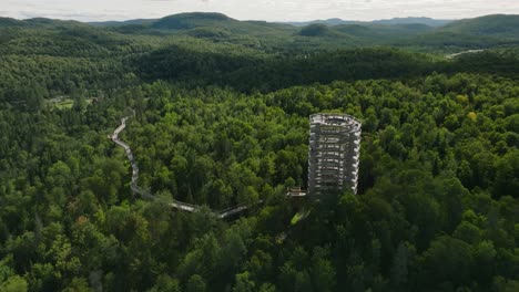 Schöner-Holzturmwanderweg-1