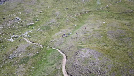 Wiese-In-Den-Schweizer-Alpen,-Drohnenluftbild,-Gras-Und-Ein-Wanderweg-Für-Wanderer-Und-Radfahrer,-Bergsportaktivitäten-In-Der-Natur