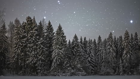 Sternenklare-Nacht-In-Einen-Schneebedeckten-Gefrorenen-Wald.-Zeitraffer