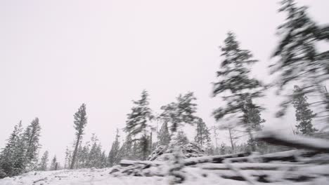 Stabilized-camera-driving-through-snow-covered-forest-in-winter-logging-camp