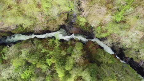 Spectacular-birdseye-view-of-river-inside-Bordalsgjelet-Gorge-in-Voss-Norway---Aerial-following-river-stream-and-looking-down-into-deep-narrow-valley