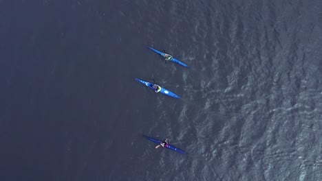 Aerial-view-of-canoeing-in-portuguese-river-in-Águeda