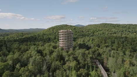 Schöner-Holzturmwanderweg-3