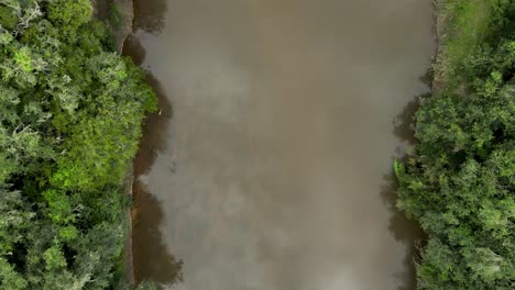 River-in-the-middle-of-the-forest-seen-from-above