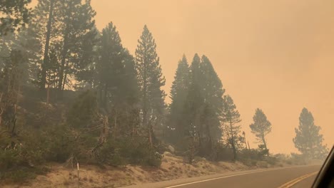 Orange-Smoky-Skies-while-driving-through-wildfire