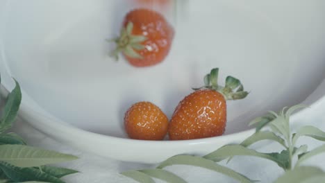 Köstliche-Erdbeeren-Fallen-In-Zeitlupe-Auf-Eine-Weiße-Keramikschale,-Um-Sie-Herum-Sind-Luigia-Blätter