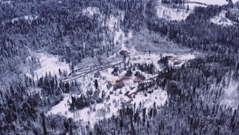 Aerial-drone-shot-flying-towards-timber-logging-camp-in-snow-covered-mature-pine-tree-forest-in-northern-territories