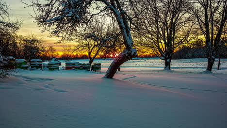 TIme-lapse-shot-of-golden-sunrise-on-snowy-farm-field-and-apiary-in-winter