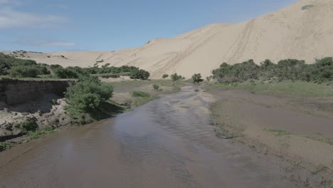 Close-to-the-ground-aerial-shot-of-river-in-Llani,-Chile-where-the-sand-dunes-meet-thhe-grasslands