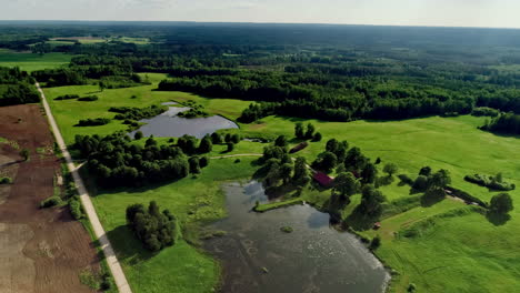 Aerial-flyover-rural-meadow-landscape-with-trees-and-natural-lake-in-summer