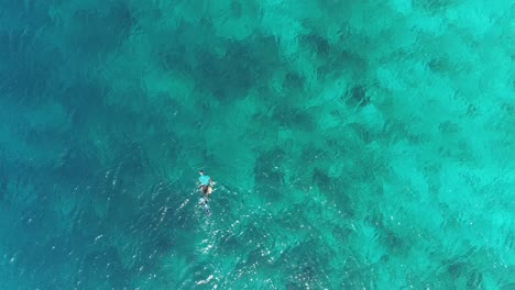 Man-snorkeling-alone-birds-view-swimming-in-clear-waters