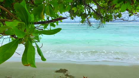 Turquoise-Waves-Breaking-On-Sandy-Beach-Viewed-From-Under-Tropical-Green-Tree
