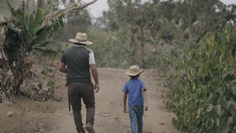 Farmer-and-his-son-walking-through-a-coffee-plantation