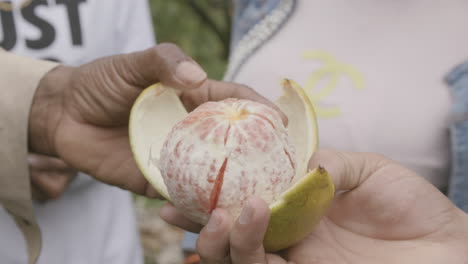 Slow-motion-footage-of-a-person-handing-an-opened-fruit-to-another-person