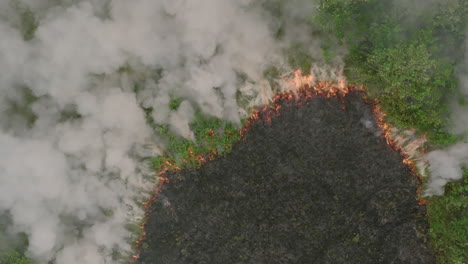 Luftaufnahmen-Von-Oben-Nach-Unten-Eines-Waldbrandes,-Der-Im-Ländlichen-Sierra-Leone-In-Zeitlupe-Brennt