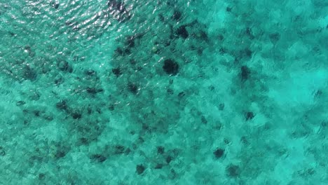 Drone-flying-above-clear-ocean-water-closeup-coral-reef-caribbean
