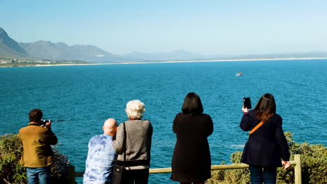 Whale-breaches-in-Walker-Bay-as-tourists-look-on-from-cliff,-Hermanus