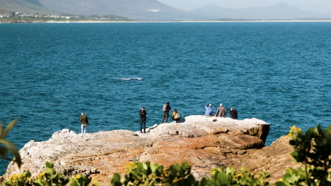 Spectators-get-prime-spot-on-rocks-to-do-whale-watching-in-Hermanus