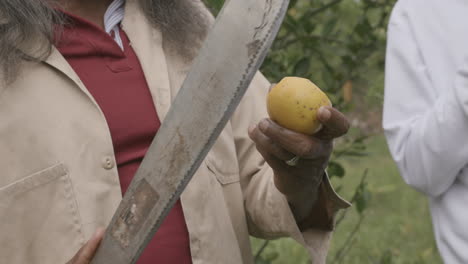 Slow-motion-footage-of-a-person-slicing-off-the-skin-of-a-lemon-with-a-machete