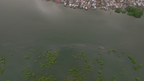 Luftaufnahmen,-Die-über-Die-Bäume-Und-Die-Bucht-Von-Freetown-Fliegen-Und-Zu-Einer-Nachbarschaft-Von-Häusern-Auf-Dem-Wasser-Kommen