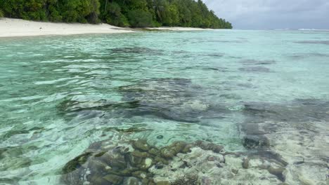 Korallenfelsen-Scheinen-Durch-Klares-Tropisches-Wasser