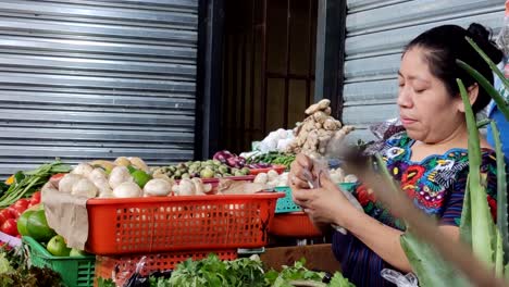 Einheimische-Frau-Aus-Guatemala,-Die-Geld-Auf-Dem-Markt-Zählt