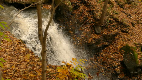The-ground-surrounding-a-cascading-stream-is-totally