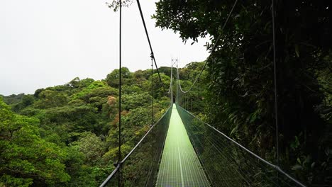 Puente-Colgante-En-La-Selva-Tropical-De-Costa-Rica