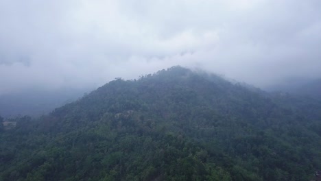Aerial-shot-of-forest-and-hill-in-the
