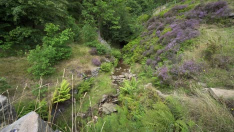 Slow-moving-waterfall-stream-flowing-down-wooded-moorland