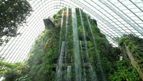 Cloud-Forestdome-Großes-Glasgewächshaus,-Das-Verschiedene-Beherbergt